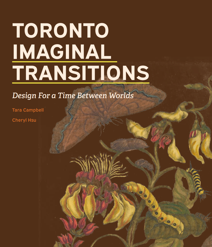 Toronto Imaginal Transitions